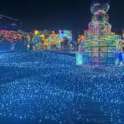 ゆうかの画像