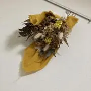 つめかみの画像