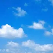 ソラの画像