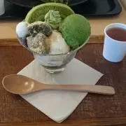 たぬき。の画像