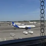 げんこの画像