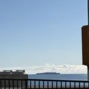 珠波2の画像