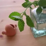 れもんの画像