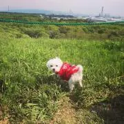 キャサリン ！！プロフ必読願！！の画像