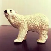 ☆しろくま☆プロフ確認お願いします☆