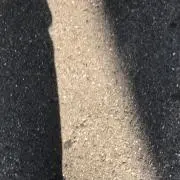 nnの画像