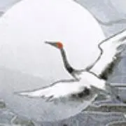 アヤ 無言取引⭕️の画像