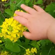 てて