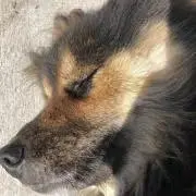 蹴球太郎の画像