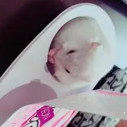 えむ