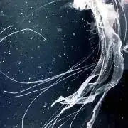 りの画像