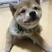 ミッツ（プロフ必読）の画像