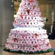 やまんちゅうさぎの画像