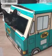 らっきの画像