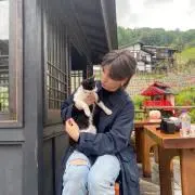 きんじょうの画像