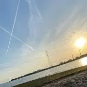 そうの画像