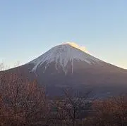 ばーち