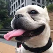 ブーメル