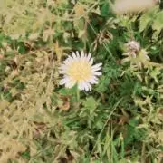 mikyouの画像