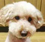 ひとみんの画像