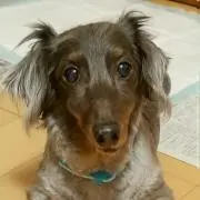 ドラえもん