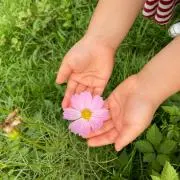 まりめっこの画像