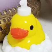 dolceの画像