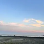 ここ