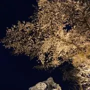 花凛の画像