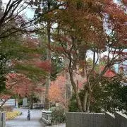 ヤン坊