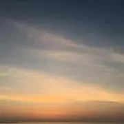 Megの画像