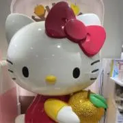 みかんの画像