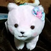 Aya✩°̥࿐୨୧