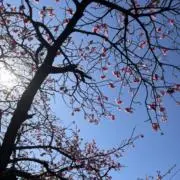 Kay.Wの画像
