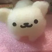 Flower❤︎の画像