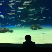 めぐみ