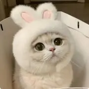 mの画像