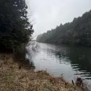 ひややっこの画像