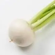 YJCの画像