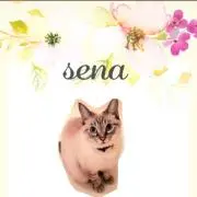 sena●