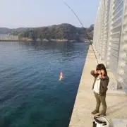 T,Kの画像