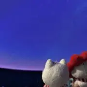 サザンクロスの画像