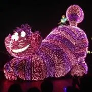 なべっちの画像