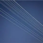 ありすの画像