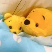 浜辺露伴⭐︎の画像
