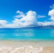 Blueの画像