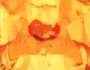 カナの画像