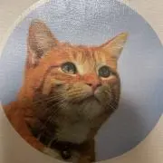 Lovinの画像