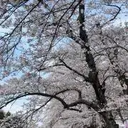 りの画像