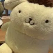 Aobaの画像
